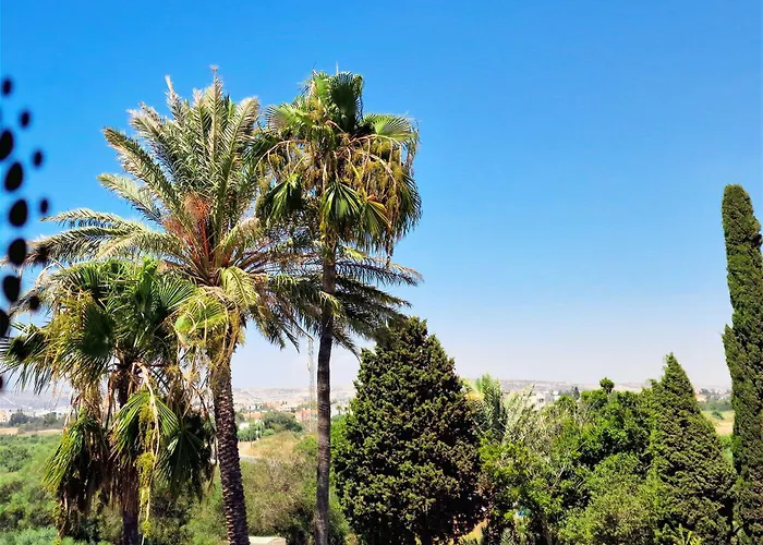 Sveltos Готель Ларнака