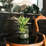 Sveltos Larnaca
